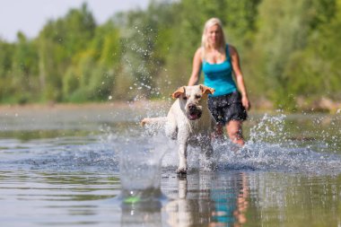 Olgun kadın gölde bir labrador çalış