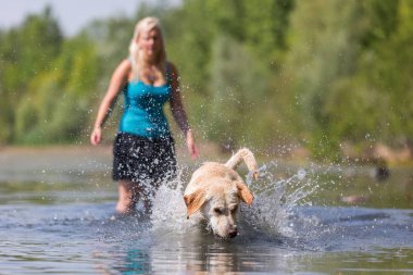 Olgun kadın gölde bir labrador çalış