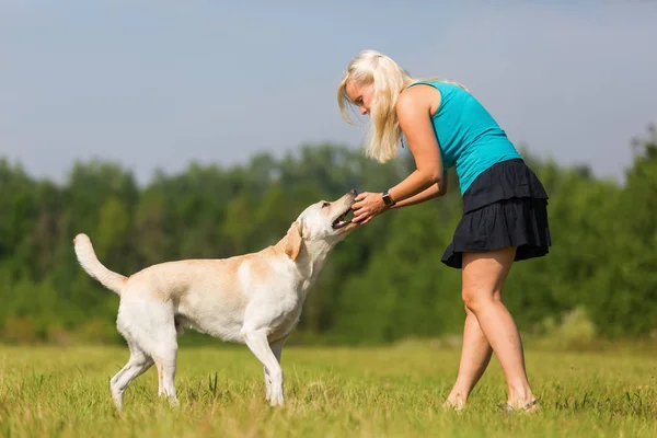 Mature woman plays with a labrador outdoors — Stock Photo, Image