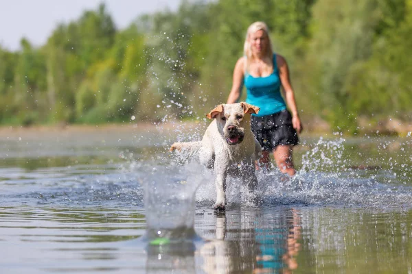 Olgun kadın gölde bir labrador çalış