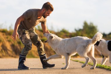 adam beyaz Alman kurdu ile çalış
