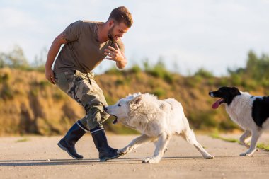 adam beyaz Alman kurdu ile çalış