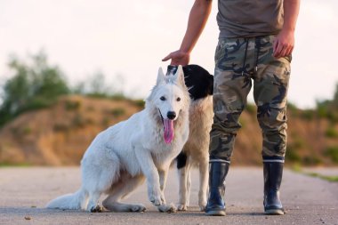 adam bir kenar kömür ocağı ve beyaz Alman kurdu ile çalış