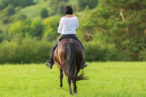 Mature woman riding an Andalusian horse — Stock Photo, Image