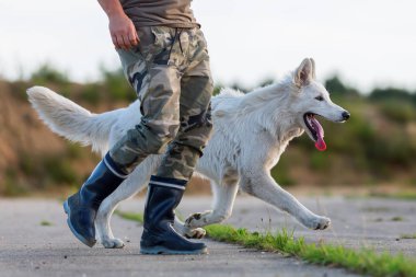 adam beyaz Alman kurdu ile çalış