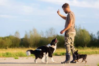 iki köpek açık havada trenlerle adam