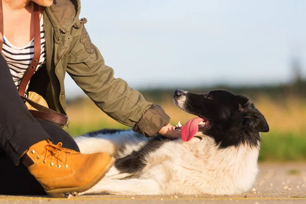 Woman with a border collie sitting on a road — Stock Photo, Image