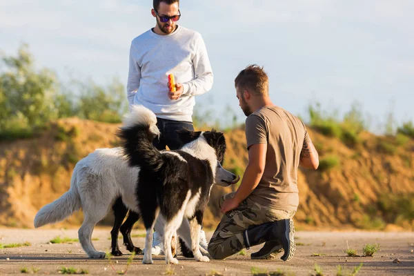 Köpeklerle açık havada genç erkekler — Stok fotoğraf