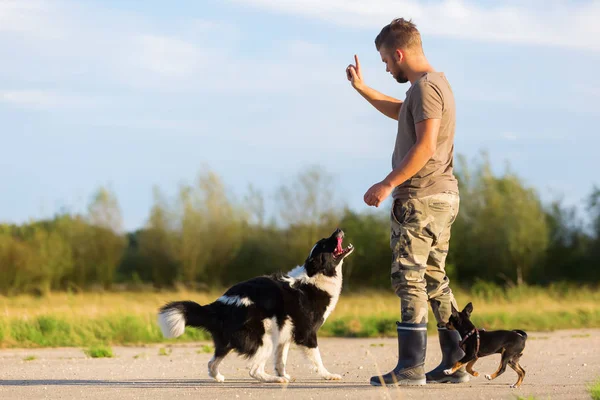 Hombre entrena con dos perros al aire libre —  Fotos de Stock