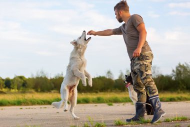 genç adam açık havada iki köpek ile çalış