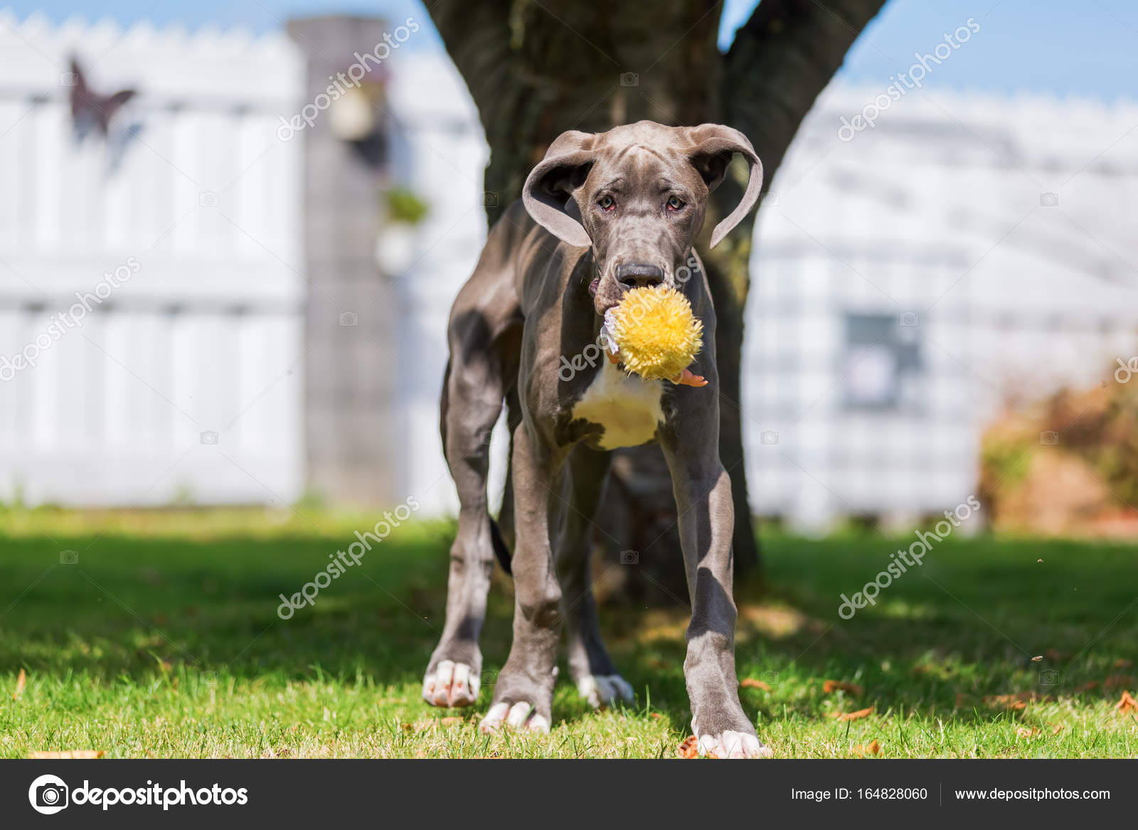great dane soft toy