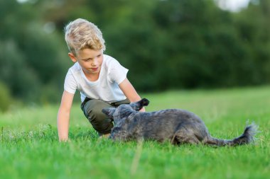 genç çocuk bir terrier melez köpek ile çalış