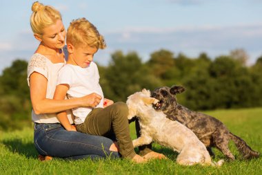 Anne oğluyla iki küçük köpekle oynamayı