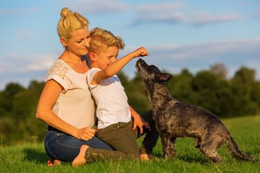 Anne ile oğlu küçük bir köpekle oynamayı