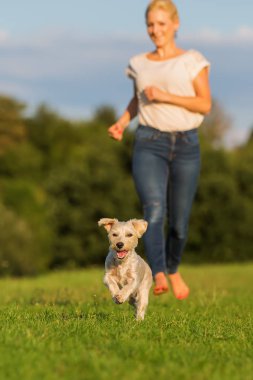 kadın korkunç melez köpeğiyle açık havada çalışır