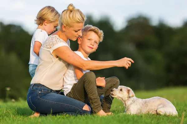 iki çocuk anne ile küçük bir köpek oynamak