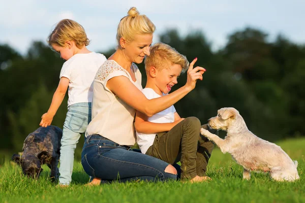 Madre con dos hijos jugar con un perro pequeño — Foto de Stock