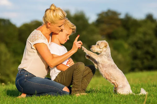 Mãe com filho brincando com um pequeno cão — Fotografia de Stock