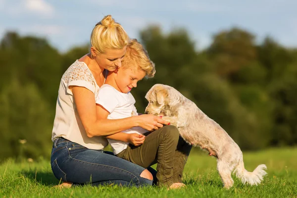 Mãe com filho brincando com um pequeno cão — Fotografia de Stock