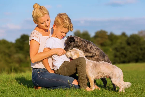Mãe com seu filho brincando com dois cachorros pequenos — Fotografia de Stock