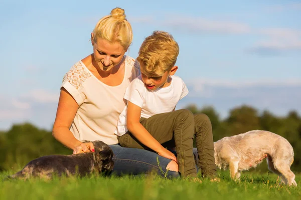 Mãe com seu filho brincando com dois cachorros pequenos — Fotografia de Stock