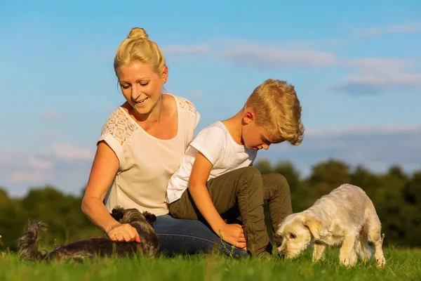 Anne oğluyla iki küçük köpekle oynamayı