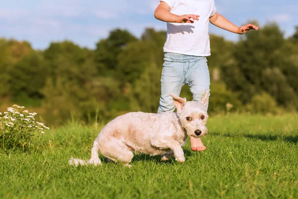 Giovane ragazzo gioca con un terrier ibrido all'aperto — Foto Stock