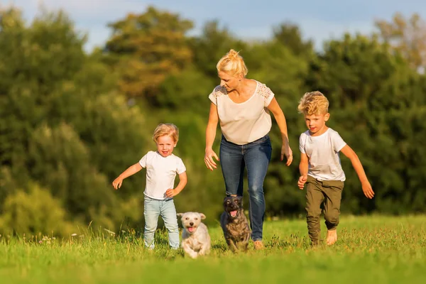 Mãe com dois meninos e dois cães corre sobre um prado — Fotografia de Stock