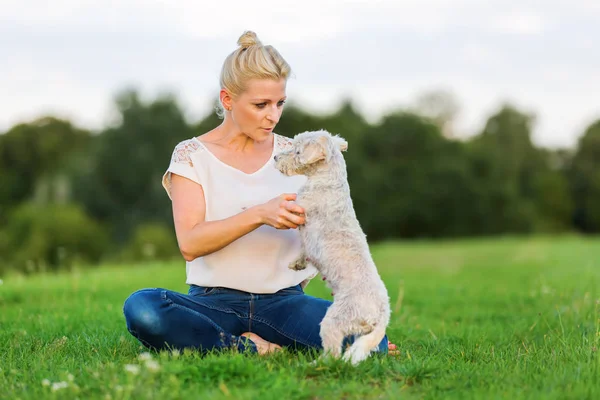 kadın korkunç hibrid açık havada ile çalış