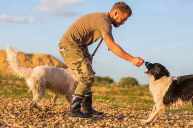 genç adam iki köpek ile bir çakıl plajı üzerinde çalış.