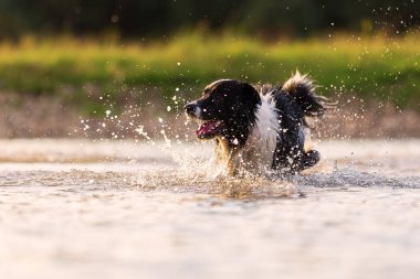 kenar kömür ocağı bir gölde çalışır