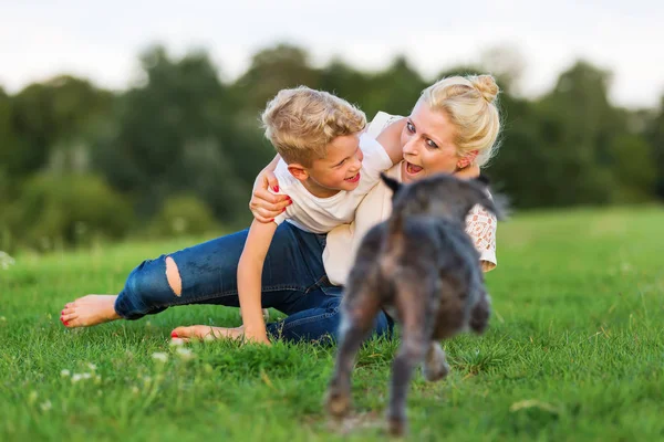 Mulher brinca com seu filho e um cão na grama — Fotografia de Stock