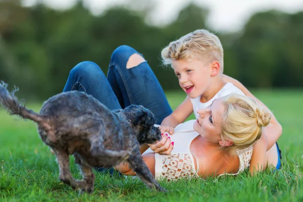 Mulher brinca com seu filho e um cão na grama — Fotografia de Stock