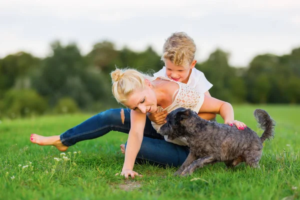 Kvinne leker med sin sønn og en hund på gresset – stockfoto