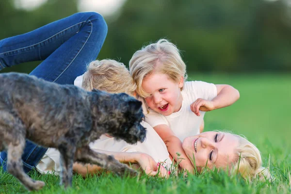 Mujer juguetea con sus dos hijos y un perro en la hierba — Foto de Stock