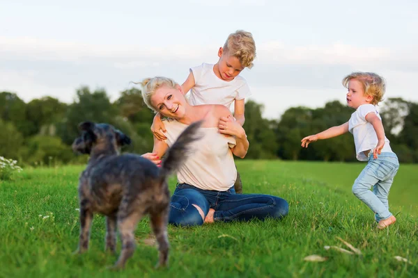 Mulher brinca com seus dois filhos e um cão na grama — Fotografia de Stock