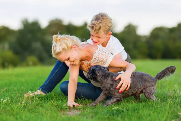 Woman romps with her son and a dog on the grass Royalty Free Stock Photos