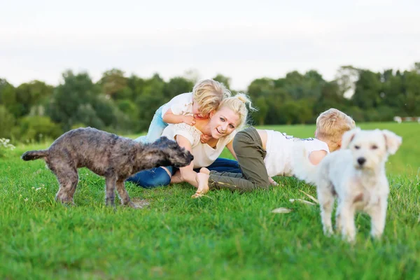 Woman romps with her two sons and two dogs on the grass — Stock Photo, Image