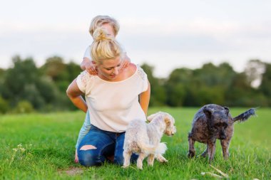 onun oğlu ve iki küçük köpek ile kadın çalış