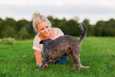 kadın bir çayır üzerinde korkunç melez köpeğiyle oynuyor