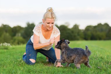kadın bir çayır üzerinde korkunç melez köpeğiyle oynuyor