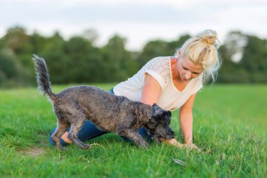 kadın bir çayır üzerinde korkunç melez köpeğiyle oynuyor
