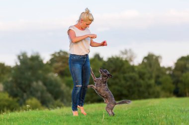 kadın bir çayır üzerinde korkunç melez köpeğiyle oynuyor