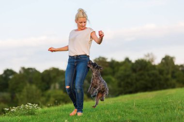 kadın bir çayır üzerinde korkunç melez köpeğiyle oynuyor