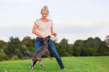 kadın bir çayır üzerinde korkunç melez köpeğiyle oynuyor