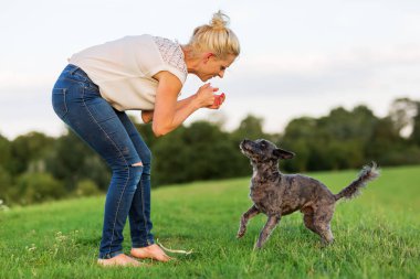 kadın bir çayır üzerinde korkunç melez köpeğiyle oynuyor