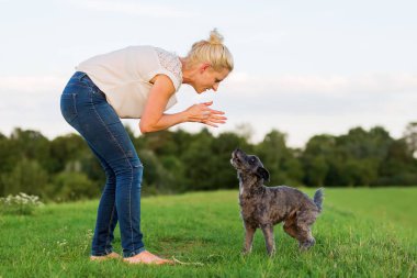 kadın bir çayır üzerinde korkunç melez köpeğiyle oynuyor