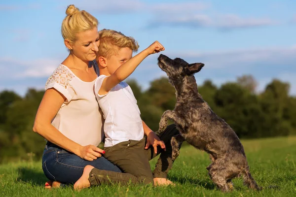 Madre con hijo jugando con un perro pequeño — Foto de Stock
