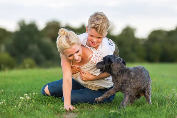 Kadın oğlunu ve bir köpek çimlere gebertiyor