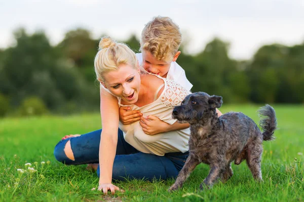 Kadın oğlunu ve bir köpek çimlere gebertiyor